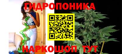крисы Новодвинск