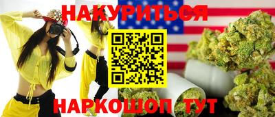 крисы Новодвинск
